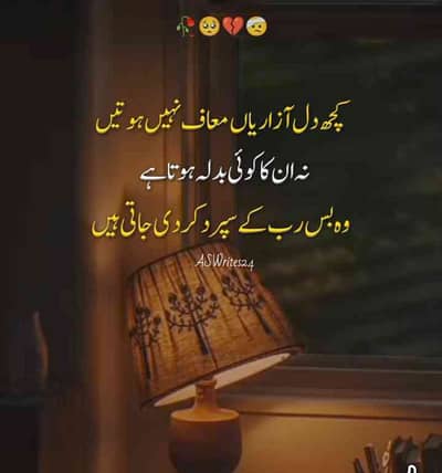 Shahzad Anjum