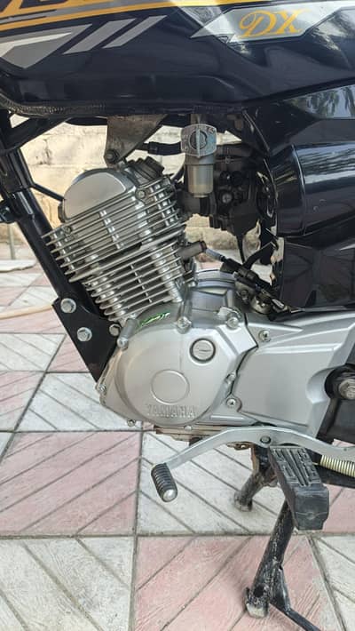 Lush piece YBZ DX Yamaha