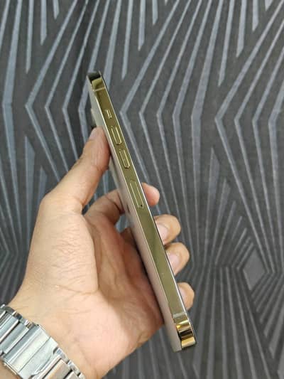 iPhone 13 pro Max  PTA Approved