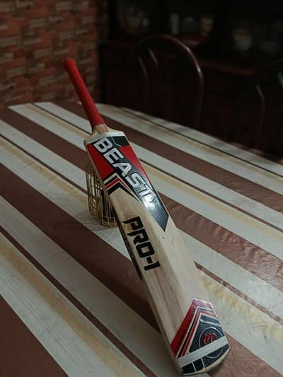 Hard ball cricket bat