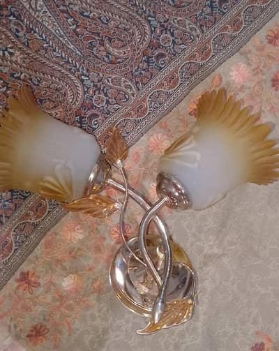 FANCY LIGHT / WALL HANGING LAMP / WALL LIGHT  / CHANDELIER / WALL LAMP