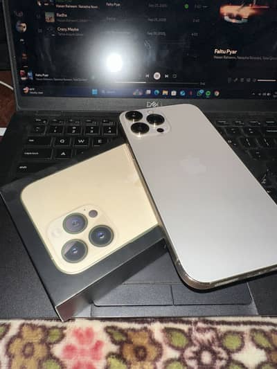 Iphon 13 pro max approve