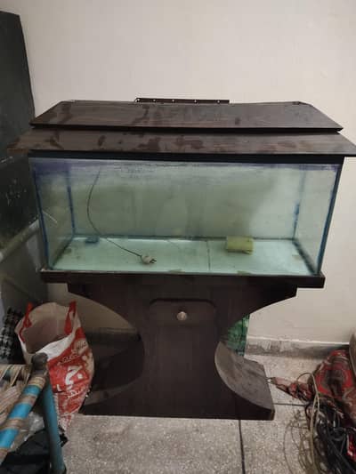 aquarium fish tank