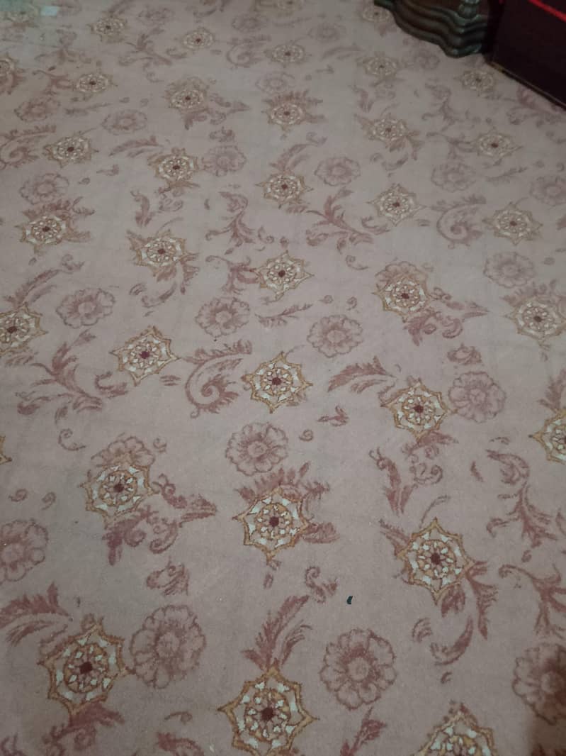 carpet 1