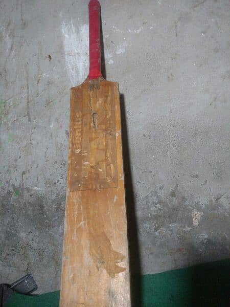 Cricket Bat Ball 0
