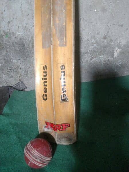 Cricket Bat Ball 1