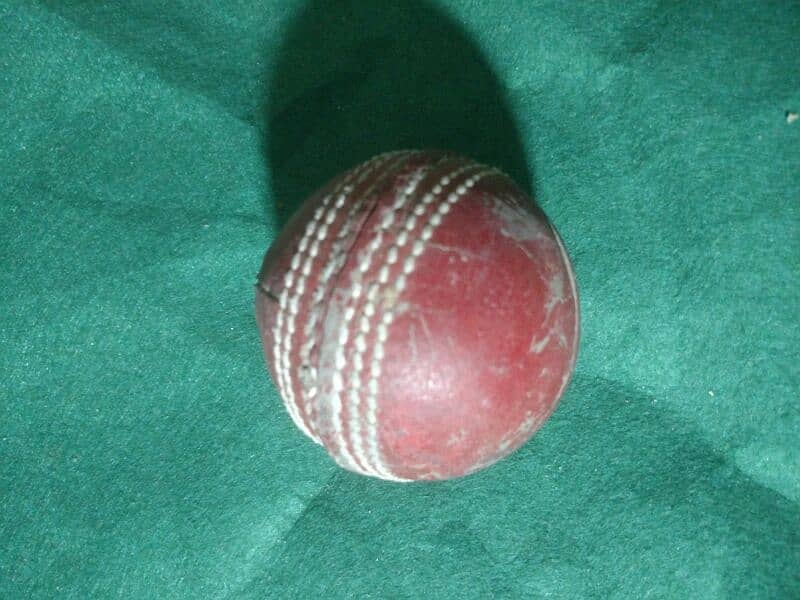 Cricket Bat Ball 2