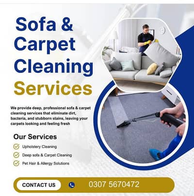 Professional, Water Tank Cleaning/Sofa Cleaning/Termite treatment