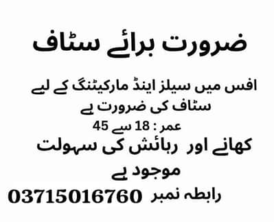 office work and team management