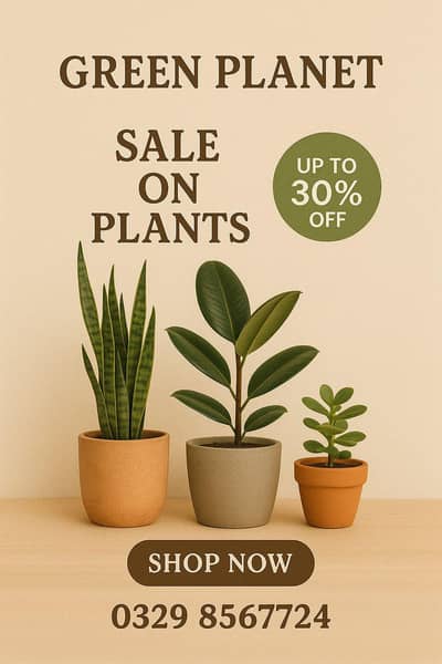green & fresh plants low maintenance ! online delivery