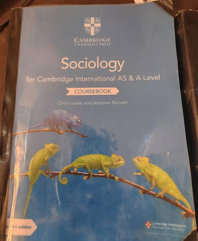 OFFICIAL CAMBRIDGE SOCIOLOGY BOOK FOR A LEVELS