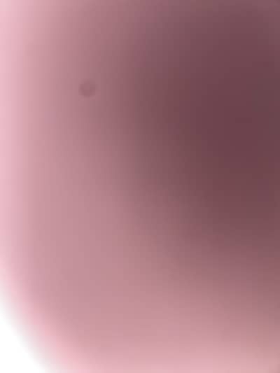 Burger or fries bnane wale lrke ki zaroorat ha