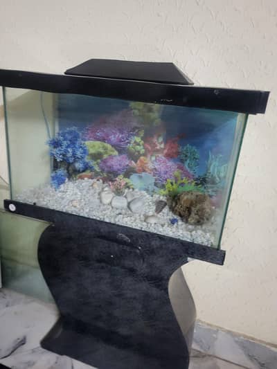 2.5ft Fish Aquarium with all accessories
