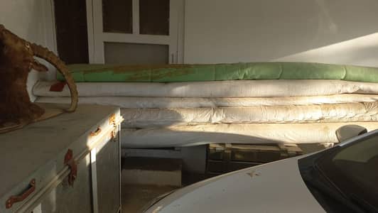 brand new carpet for home