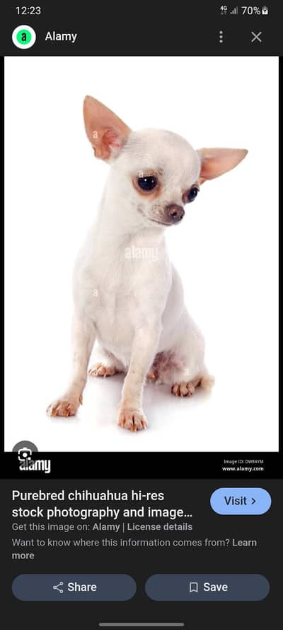 dog sell kar na he. 6000 fainal he