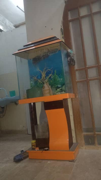 Stylish Glass Fish Aquarium with Accessories | For Sale