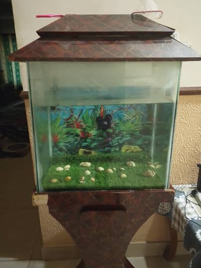 Fish tank