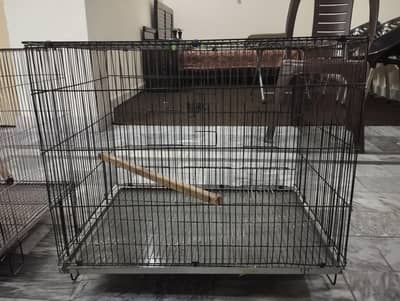 Cages for Bird's/Parrots