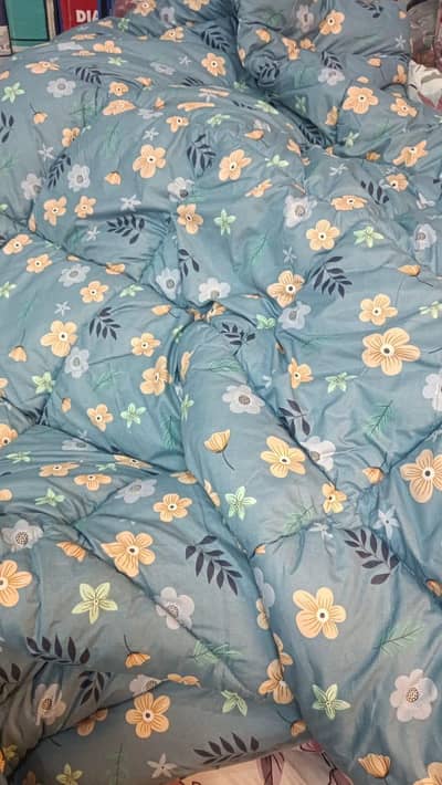 Polister Razai 1 k sath 1 Free Last Month Sale