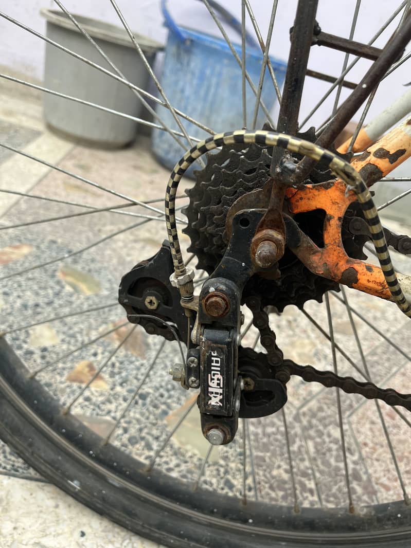 Phonix cycle 6