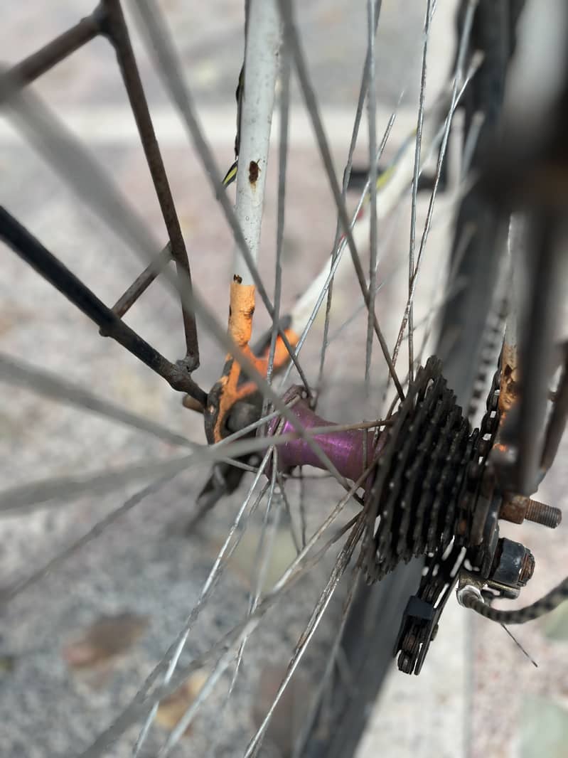 Phonix cycle 9