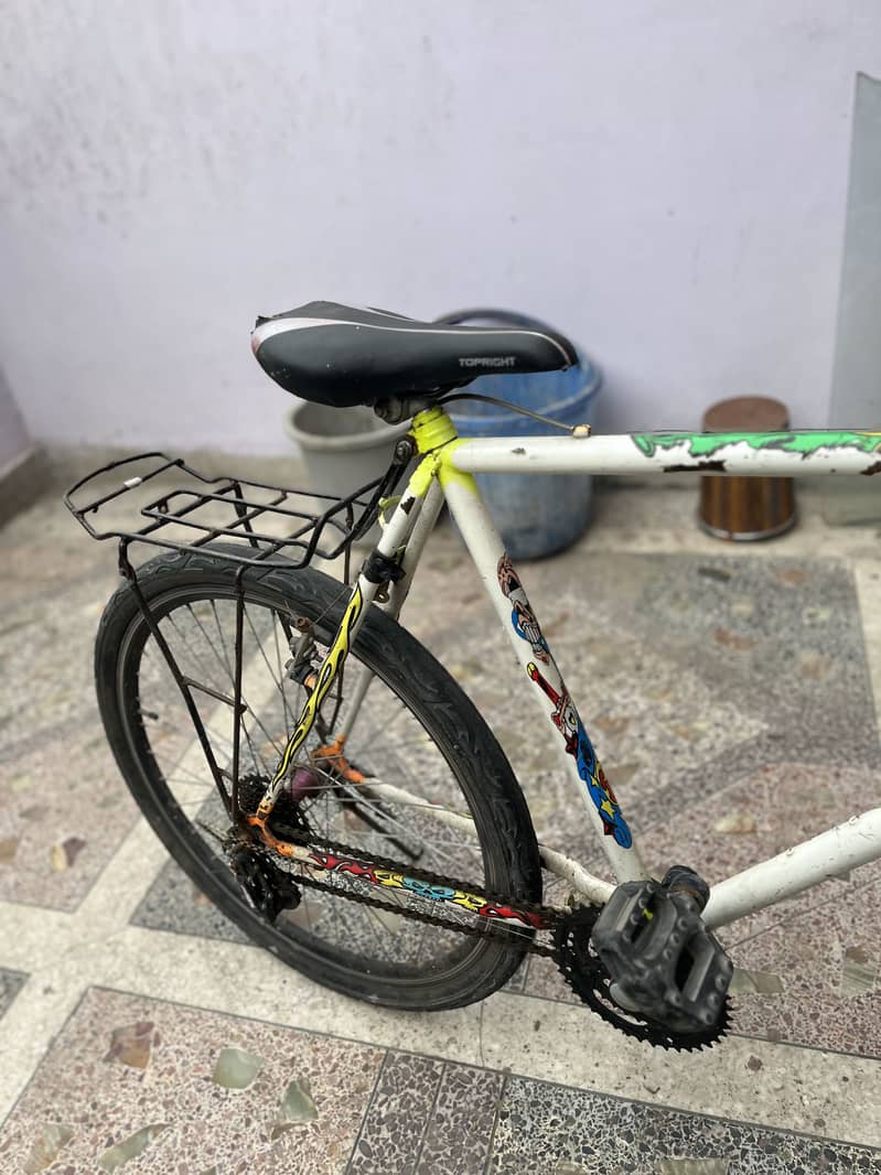 Phonix cycle 10
