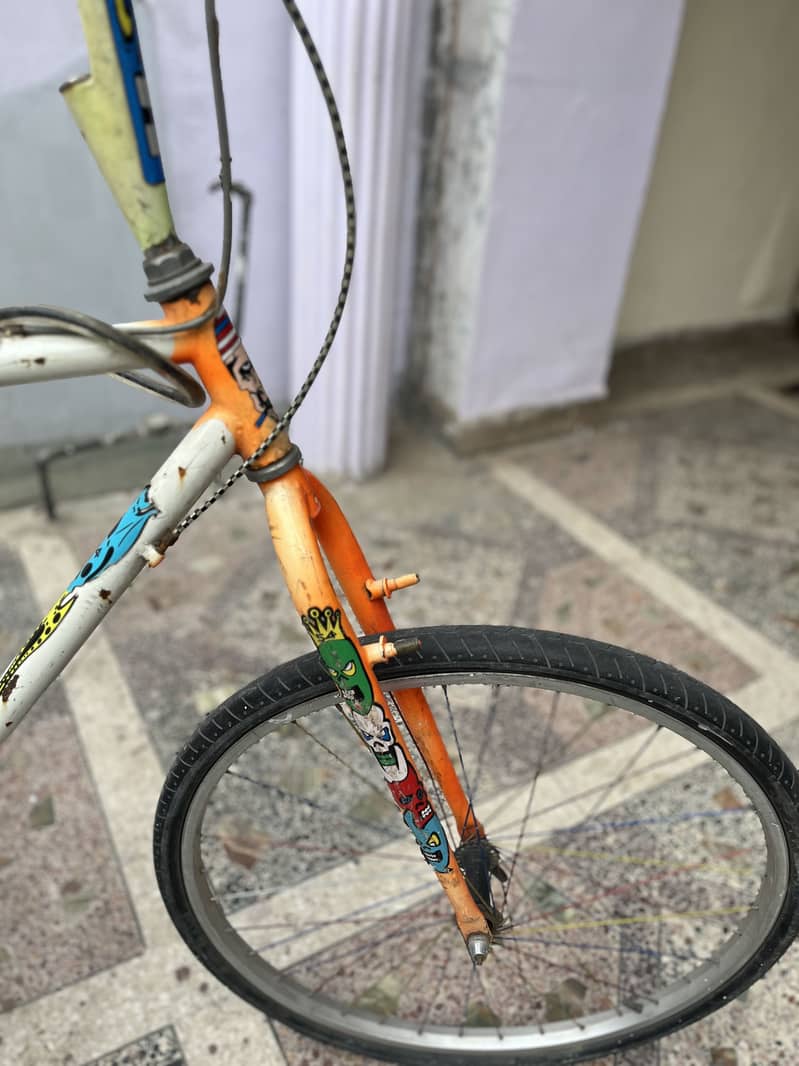 Phonix cycle 11