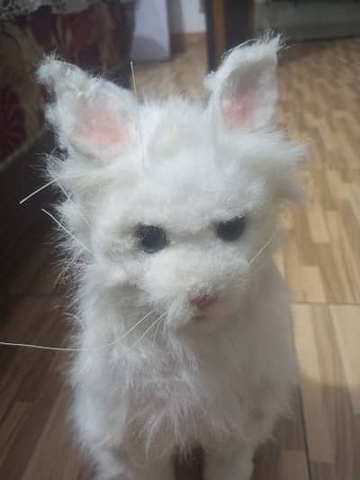 imported cell opreated realistic cat