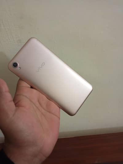 vivo y19