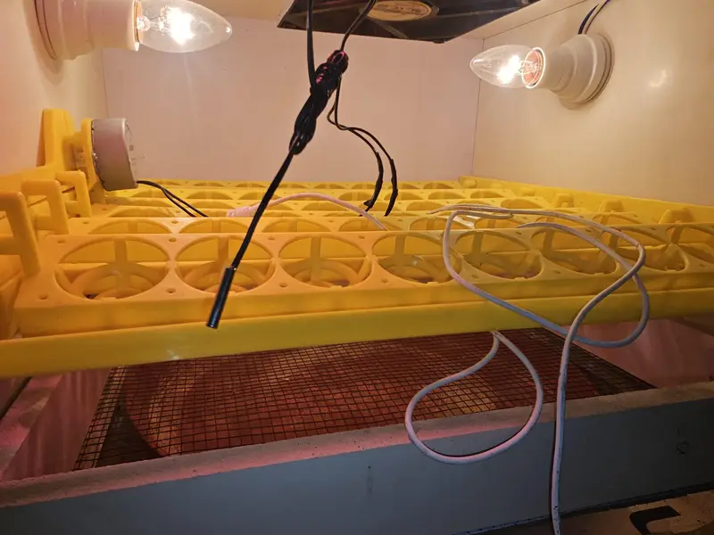 Automatic 56 eggs Incubator — photo 2