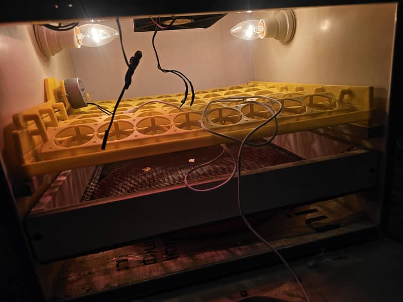 Automatic 56 eggs Incubator 2