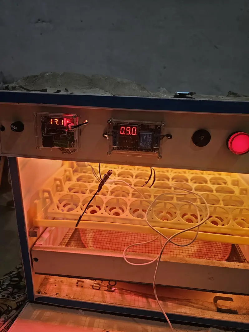 Automatic 56 eggs Incubator — photo 5