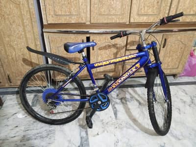 Blue Mountain Bicycle – Smooth Ride, Good Condition | Ready to use
