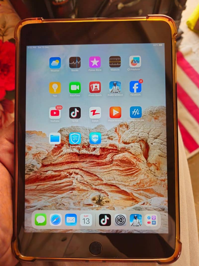ipad mini 5 1
