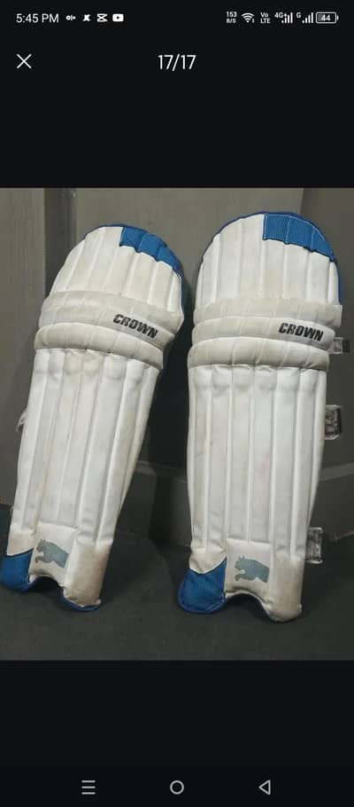 Cricket pads Imported
