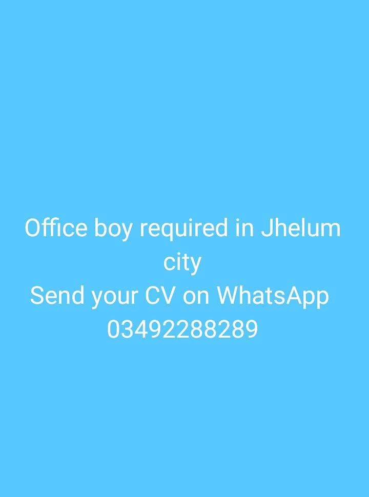 Office boy 0