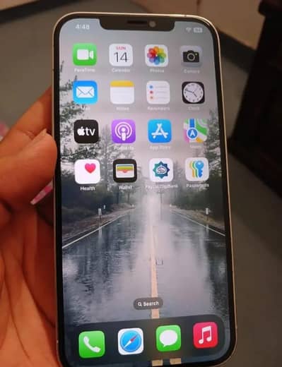 Iphone 12 Pro Max FU // Box