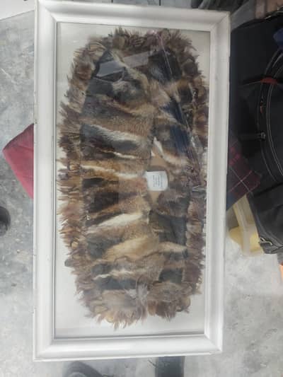 Tiger Leather Wall Décor | Premium Vintage Display Piece