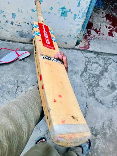 grey Nicholas english willow hardball bat