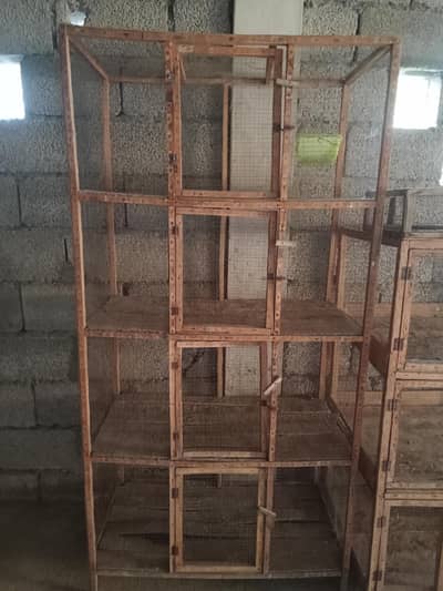 hen cages 2 adad hen