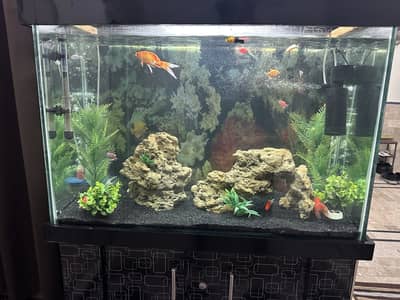 Fish tank  new 10 out of 10