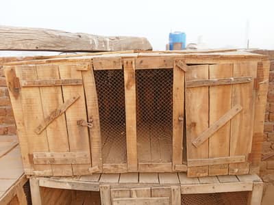 khudda Hen cage