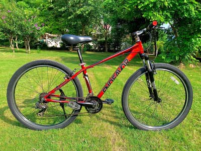 Endevaour Germany Imported Bicycle