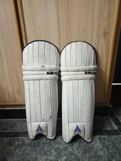 Batting Pads