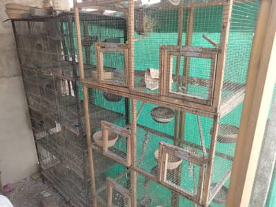 iron and wooden cages for fown jawa,doves,pigeon,parrot,finch,budgies,
