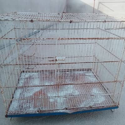Birds cages for sale
