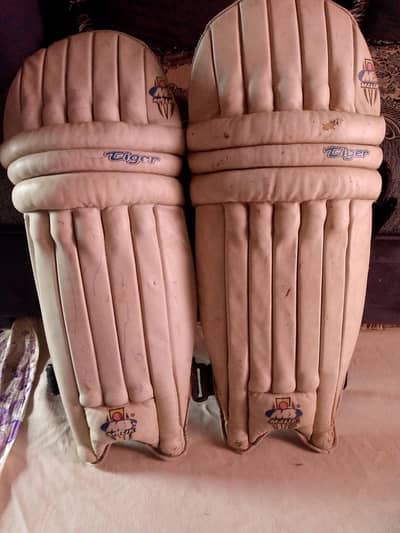 cricket kit for sale
