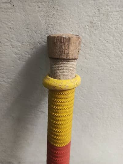 Hardball cricket Bat