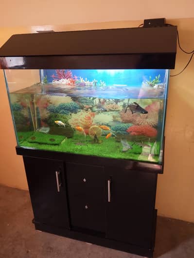 fish aur aquarium