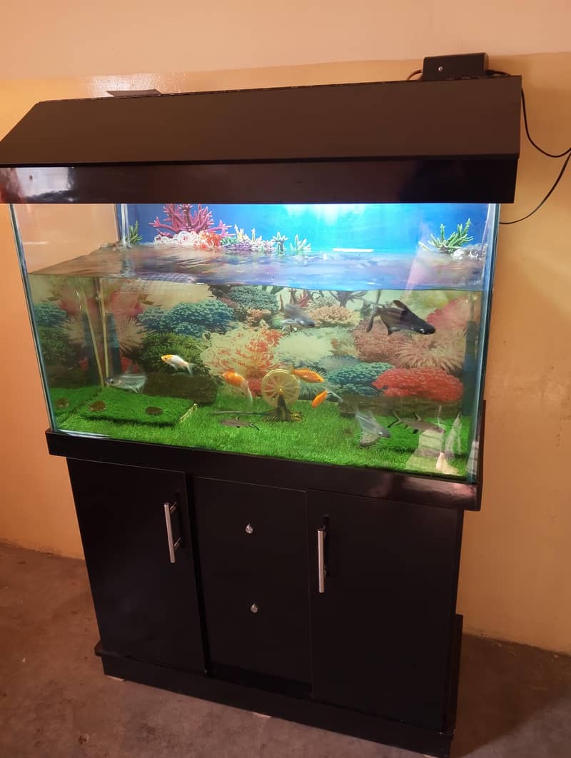 fish aur aquarium 0